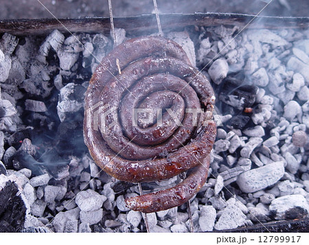 犬の腸 炭火焼き(ハノイ/ベトナム) 犬の腸 炭火焼き(ハノイ/ベトナム) 12799917