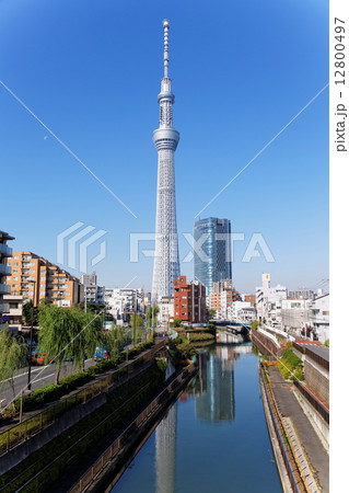十間橋近くの歩道橋より東京スカイツリーを臨む 12800497
