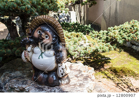 Tanuki 12800907