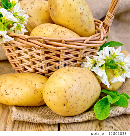Potatoes yellow with flower and basket on board and sackcloth 12801033