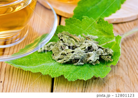 Sage dried on fresh leaf with cup on board 12801123