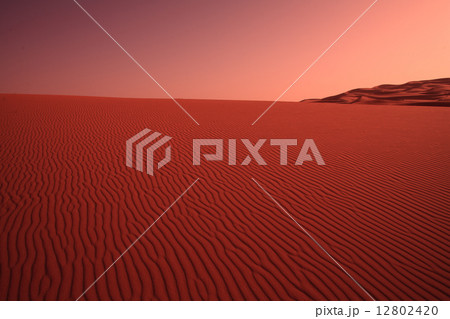 赤い砂漠 12802420