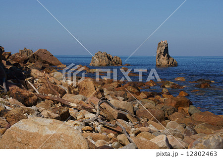 海岸と流木 12802463