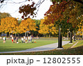 紅葉の公園 12802555