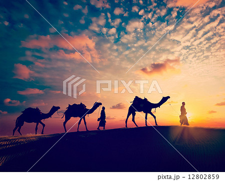 Two cameleers camel drivers with camels in dunes Two cameleers camel drivers with camels in dunes 12802859