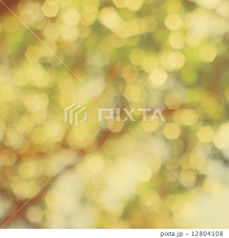 Abstract background with bokeh defocused lights 12804108
