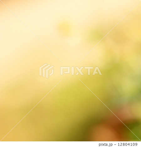 Abstract background with bokeh defocused lights 12804109