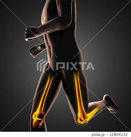 human radiography scan  with glowing bones 12804132