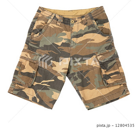 Shorts Shorts 12804535