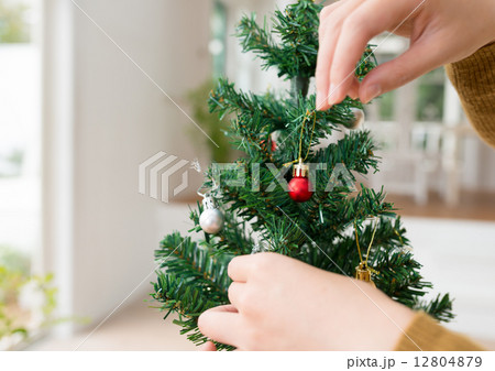クリスマスツリー 12804879