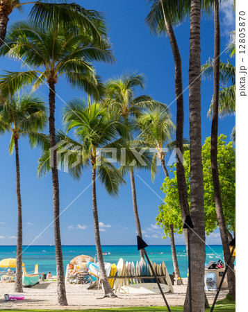 ウォータースポーツを楽しむ人々で賑わう、ハワイオアフ島、ホノルルのワイキキ・ビーチ 12805870