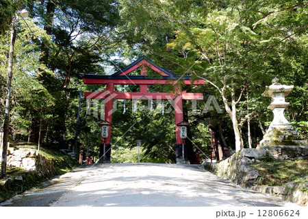 滋賀県　日吉大社　鳥居 12806624