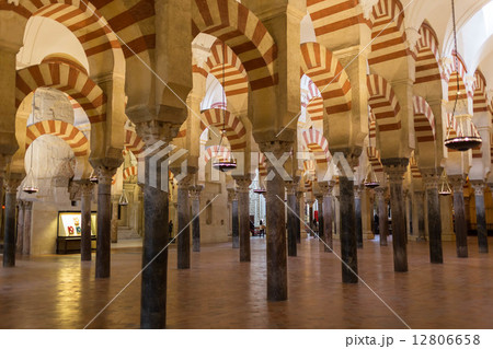 メスキータ 12806658