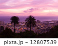 ワイキキ夜景 12807589