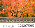 京都の紅葉 12807595