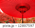 和傘ともみじ 12807597