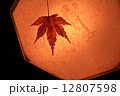 もみじと灯り 12807598