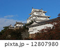 秋の姫路城 12807980