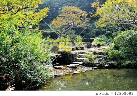 東京都早稲田界隈散策行 東京都早稲田界隈散策行 12808095