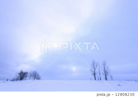 美瑛の雪景色 美瑛の雪景色 12808230