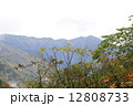 北アルプスと紅葉 12808733