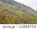 山腹の紅葉 12808754