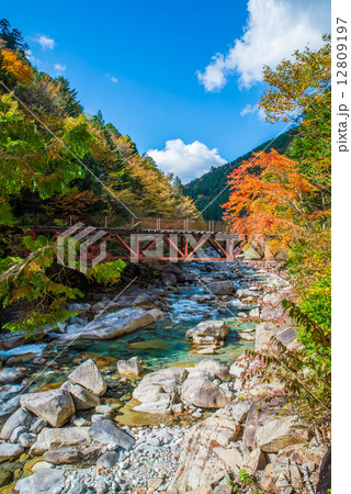 阿寺渓谷の紅葉風景 秋 （長野県木曽郡大桑村野尻） 12809197