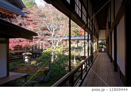 恵林寺の中庭(山梨県甲州市) 恵林寺の中庭(山梨県甲州市) 12809444
