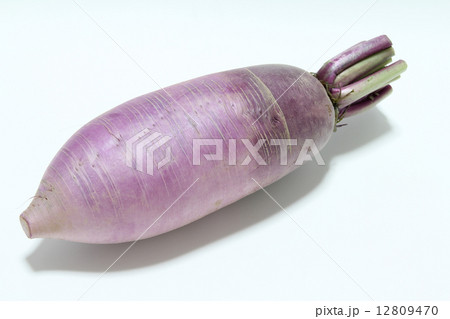 紅しぐれ大根 紅しぐれ大根 12809470
