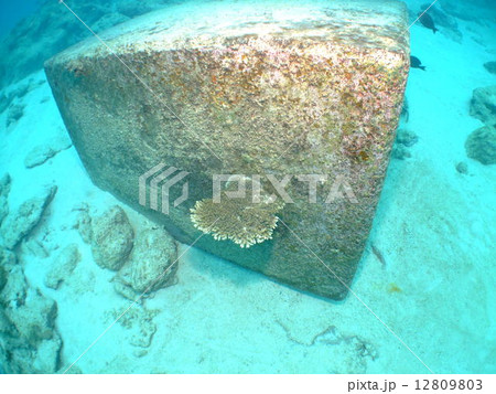 珊瑚礁 サンゴ 沖縄 慶良間諸島 国立公園 沖縄 珊瑚礁 サンゴ 沖縄 慶良間諸島 国立公園 沖縄 12809803