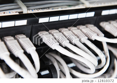 Insulated cords 12810372