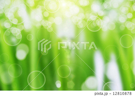 green grass 12810878