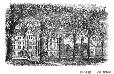Harvard University, Cambridge, Massachussets vintage engraving 12810988