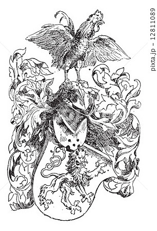 Knight's Helmet and Shield, vintage engraving 12811089