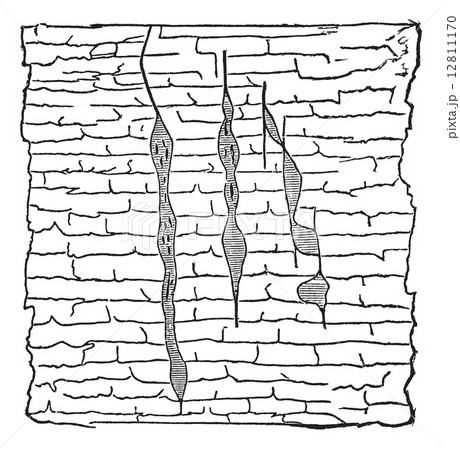 Geological Vein, vintage engraved illustration. 12811170