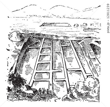 Saltmarshes, vintage engraving Saltmarshes, vintage engraving 12811239