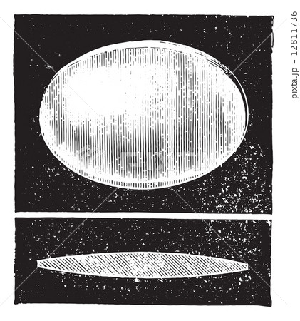 Periscope convex glass, vintage engraving. 12811736