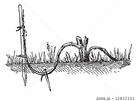 Ground Layering, vintage engraving 12812131