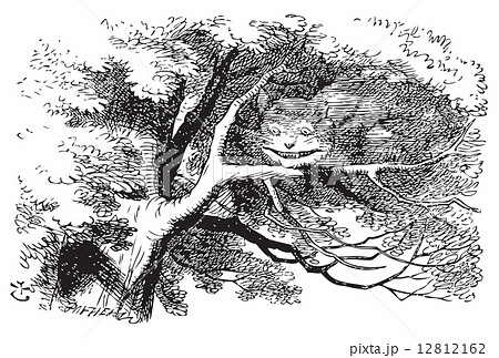 Cheshire Cat fading to smile Cheshire Cat fading to smile 12812162