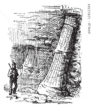 Sigillaria, vintage engraving. 12812364