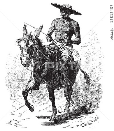 Water vendor to Cartagena, vintage engraving. 12812437
