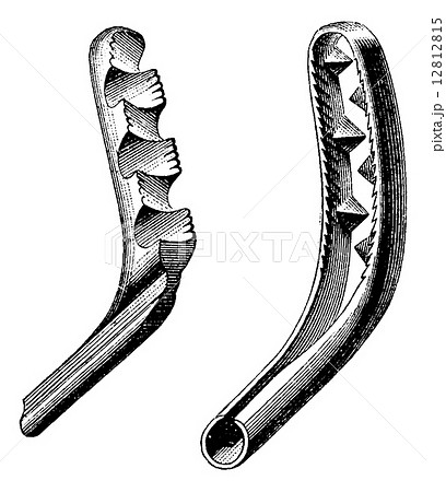 Breaking stone Reliquet, vintage engraving. 12812815