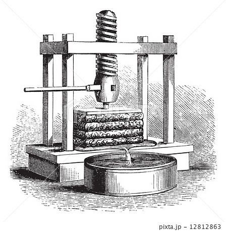 Cider Press vintage engraving 12812863