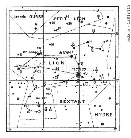 Leo Constellation, vintage engraving Leo Constellation, vintage engraving 12813115