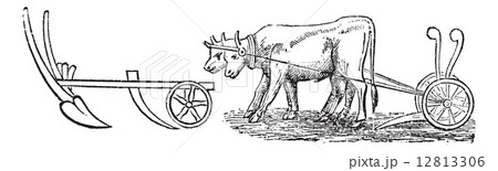 Plough vintage engraving 12813306