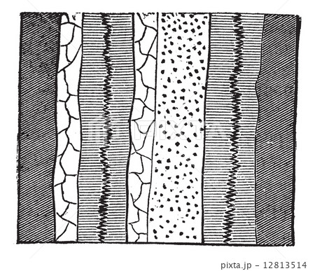 Geological Vein, vintage engraved illustration. Geological Vein, vintage engraved illustration. 12813514
