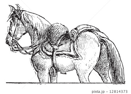 Shabrack or Shabraque, vintage engraving. Shabrack or Shabraque, vintage engraving. 12814373