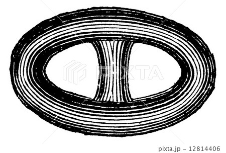 Link in the chain Brunton or catena vintage engraving Link in the chain Brunton or catena vintage engraving 12814406