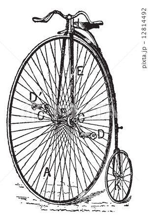 Velocipede, ordinary bicycle, vintage engraving. 12814492