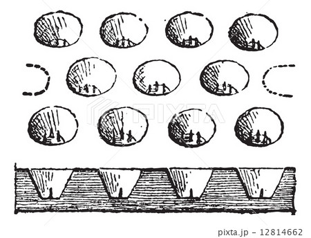 Egg Tray, vintage engraving 12814662